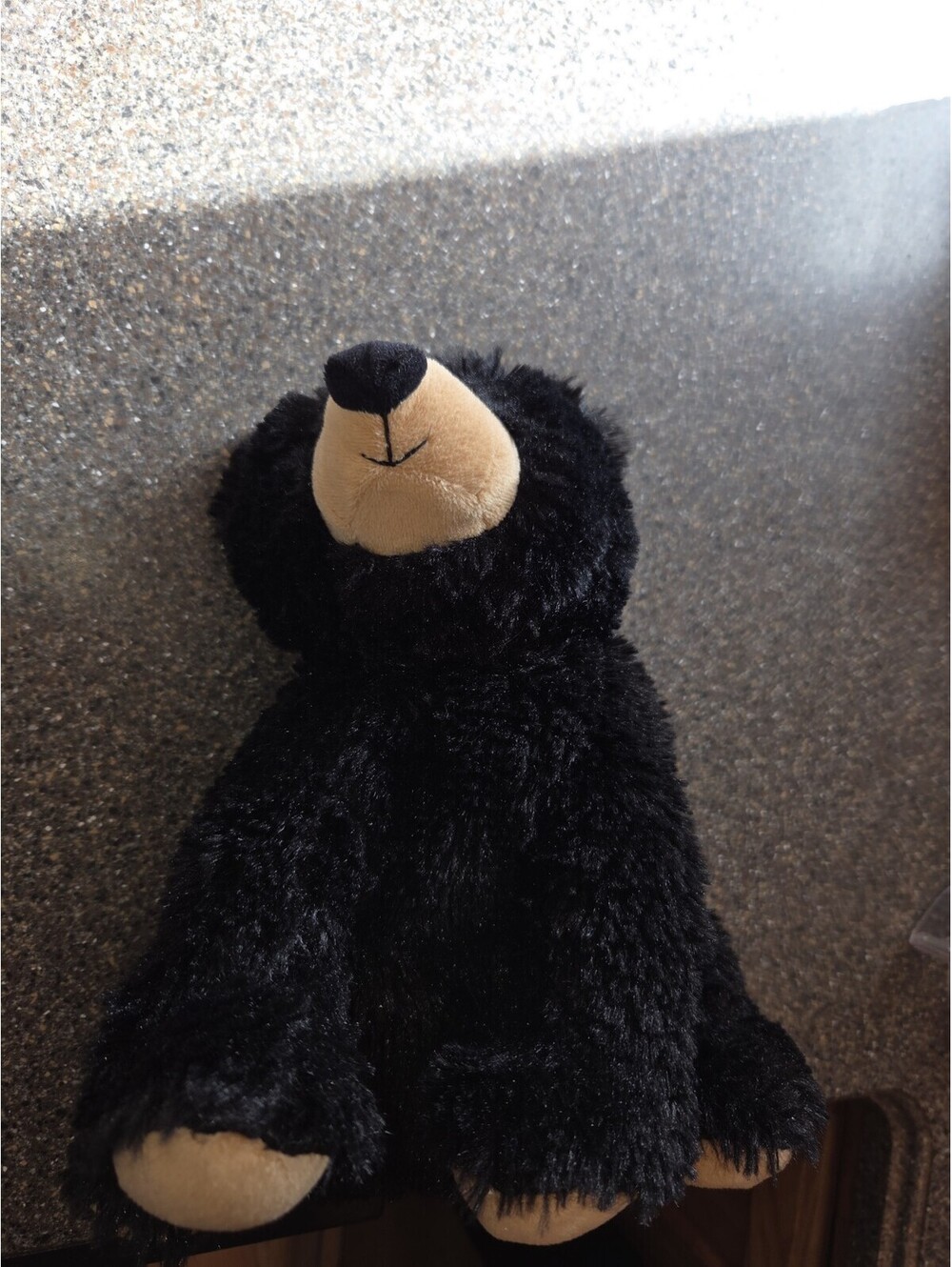 Warmies Black Bear Clean